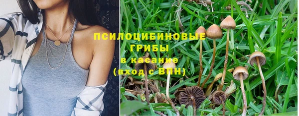 гидропоника Балабаново