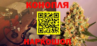 прущие грибы Заволжье