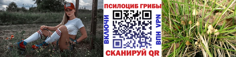 Псилоцибиновые грибы прущие грибы  Корсаков 