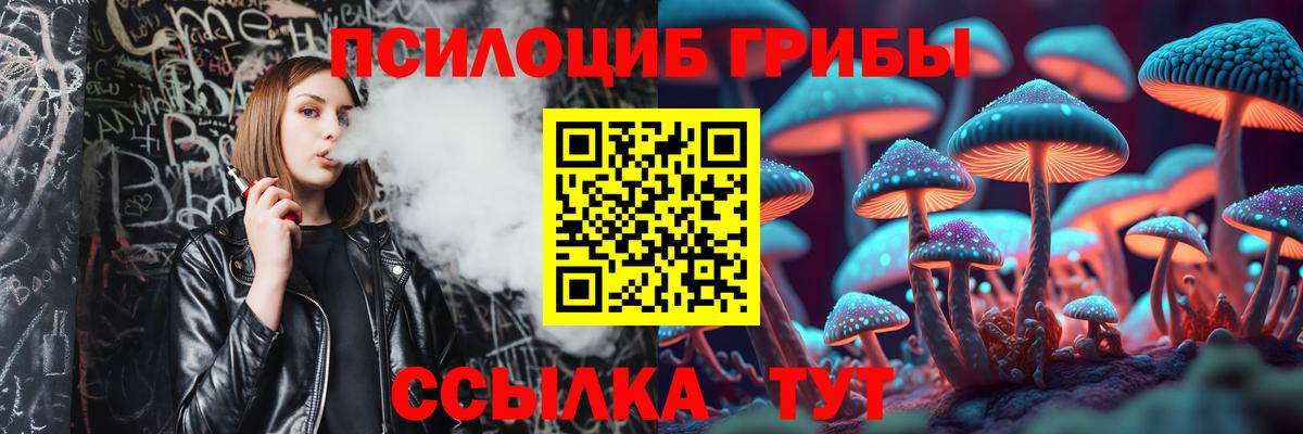 Псилоцибиновые грибы Psilocybine cubensis Корсаков